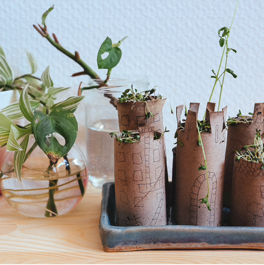 “VILLE VÉGÉTALISÉE”